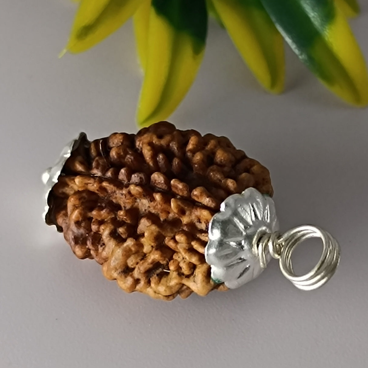 2 Mukhi Rudraksha For Moon Planet