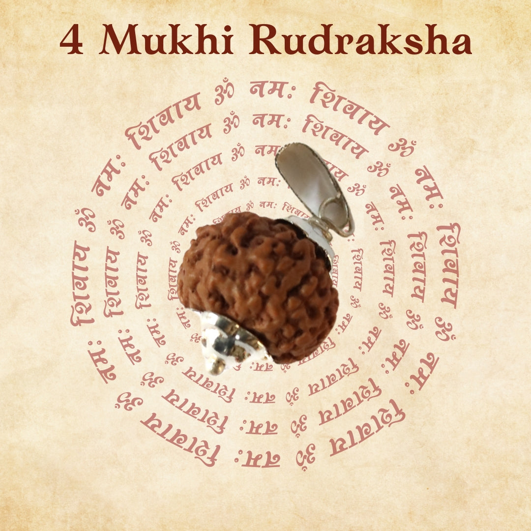 4 Mukhi Rudraksha For Mercury Planet