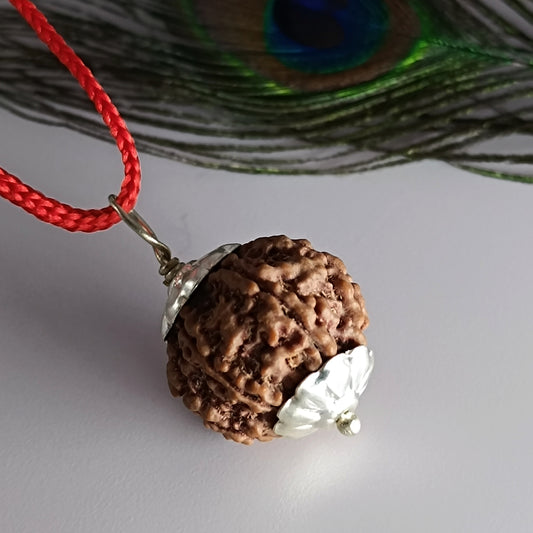 7 mukhi rudraksha with silver cap
