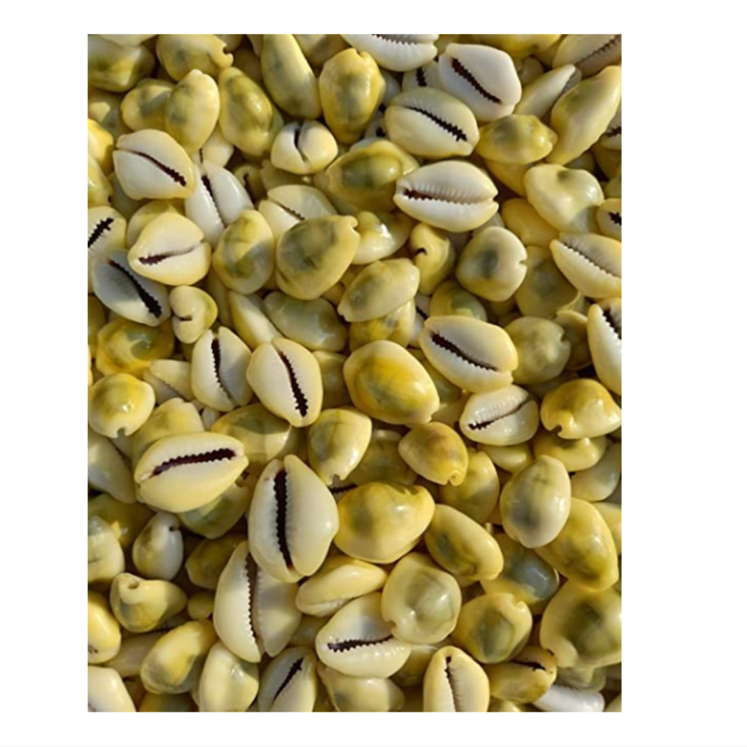 Yellow Koudi - Peeli Kouri - Energized 100 Pieces