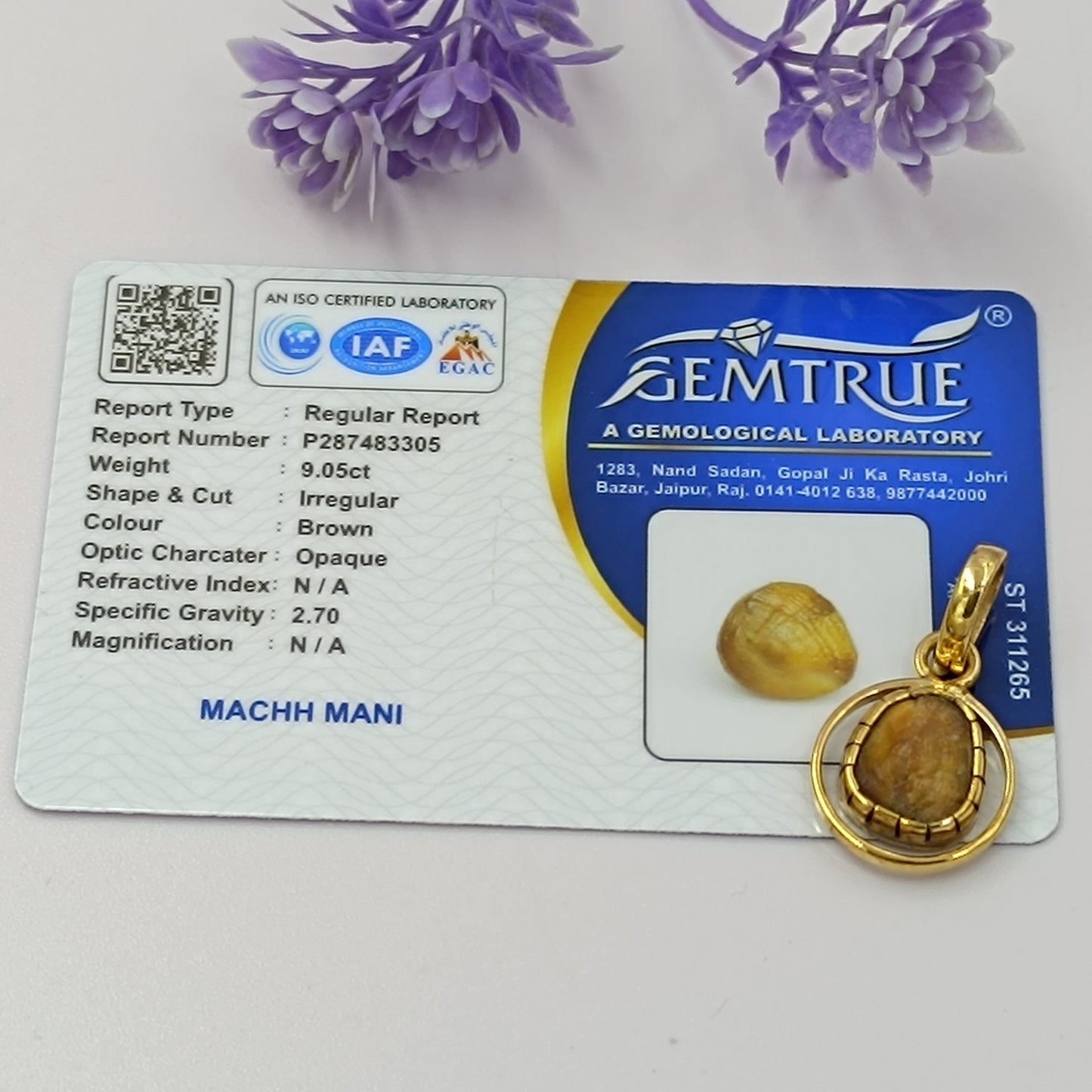 Mach Mani - Rahu Mani - Makardhwaj Mani - Panchdhatu Locket