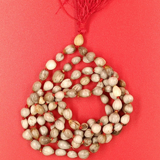 Vaijanti Mala or Baijanti Mala