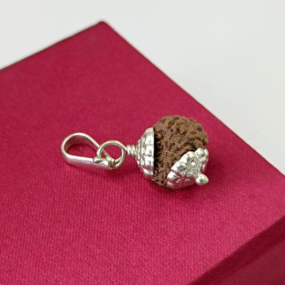 12 Mukhi Indonesia Rudraksha - Silver Plating Metal Locket With Lab Certificate