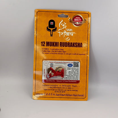 12 Mukhi Indonesia Rudraksha - Silver Plating Metal Locket With Lab Certificate