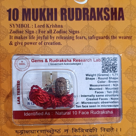 10 Mukhi Indonesia Abhimantrit Rudraksha