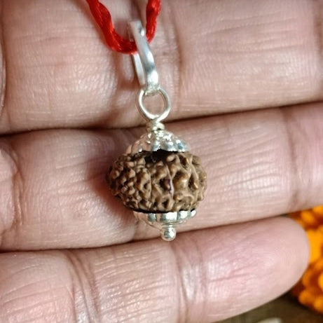 10 Mukhi Indonesia Abhimantrit Rudraksha