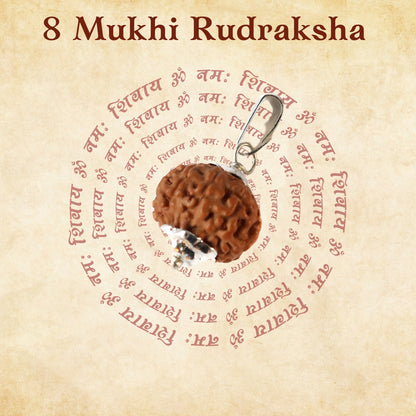 8 Mukhi Rudraksha For Rahu