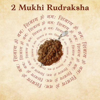 2 Mukhi Rudraksha For Moon Planet