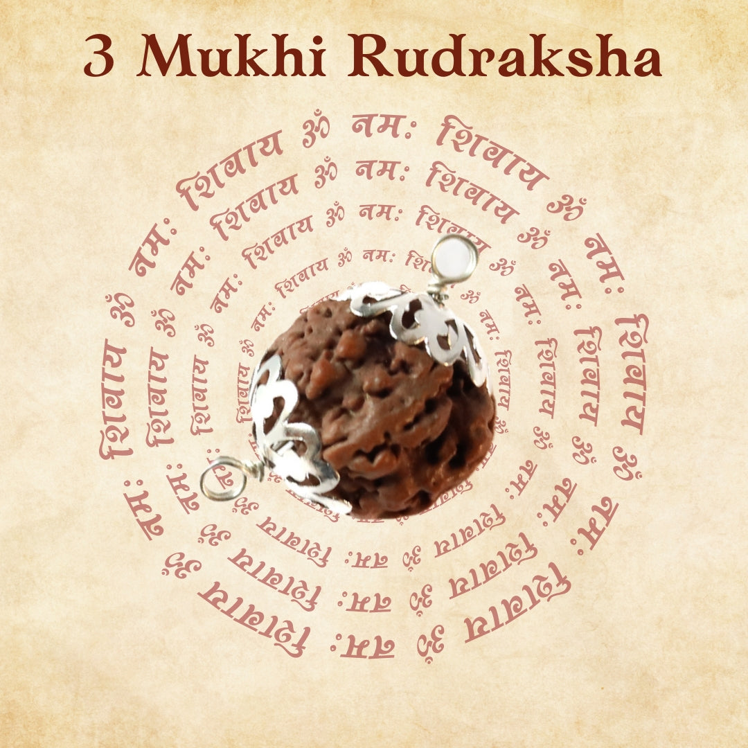 3 Mukhi Rudraksha For Mars