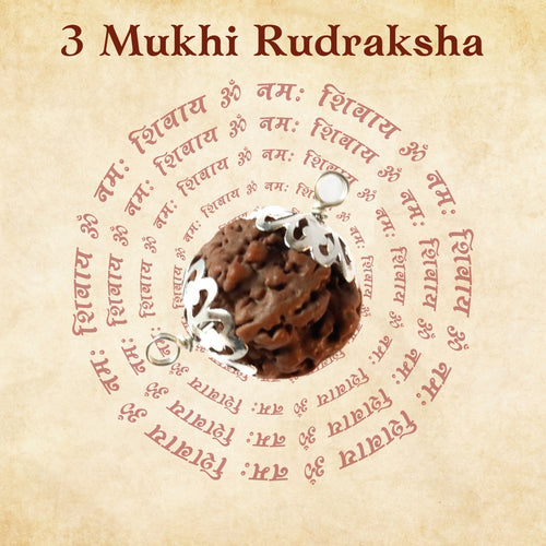 3 Mukhi Rudraksha For Mars