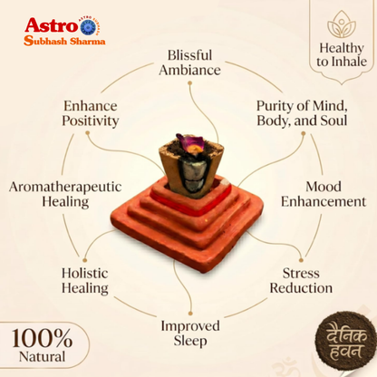 Navgrah Shanti Dhoop 30 pcs + Holder - 100% Natural Jadi Buti Dhoop Cups