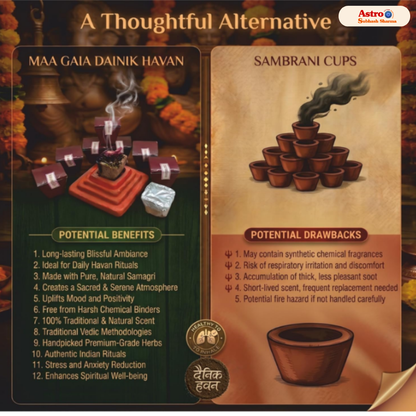 Navgrah Shanti Dhoop 30 pcs + Holder - 100% Natural Jadi Buti Dhoop Cups