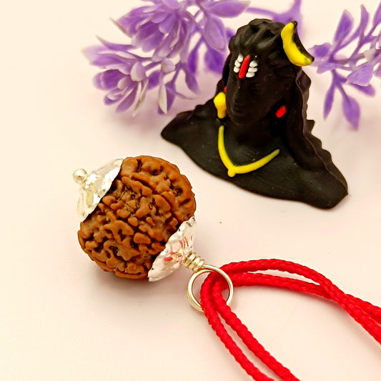 7 mukhi rudraksha wuth silver cap