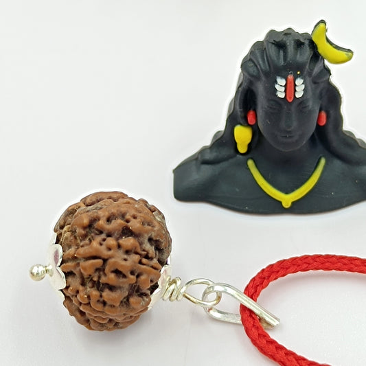 9 Mukhi Rudraksha For Ketu Planet 19-20 mm Size Nepal Origin