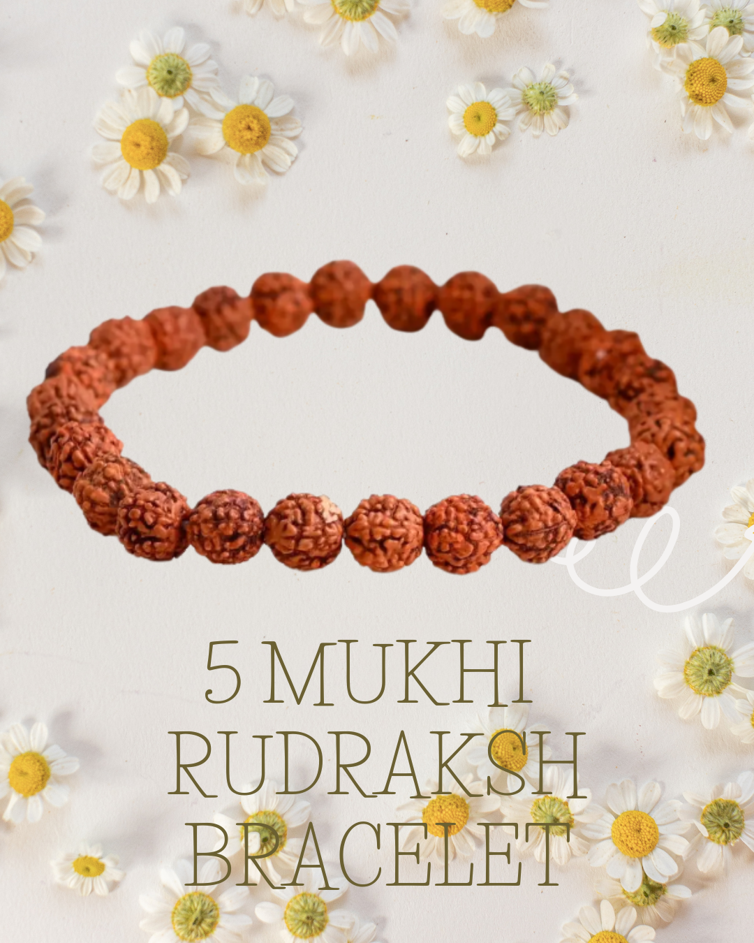 5 Mukhi Rudraksha Bracelet Combo - One Rudraksha Bead Free With Bracelet