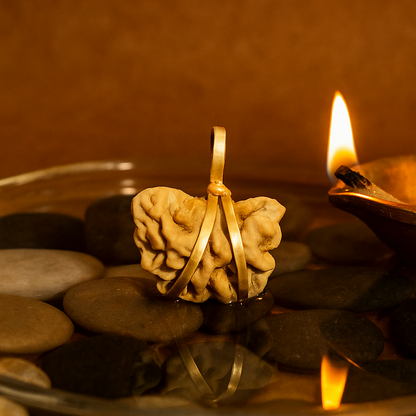 1 Mukhi Rudraksha For Sun Planet