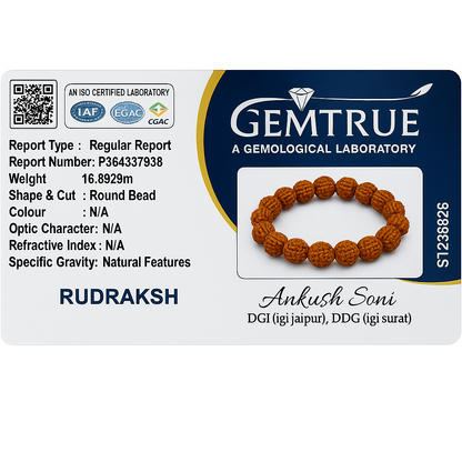 Rudraksha With Clear Quartz Combination Bracelet For Wisdom & Wealth