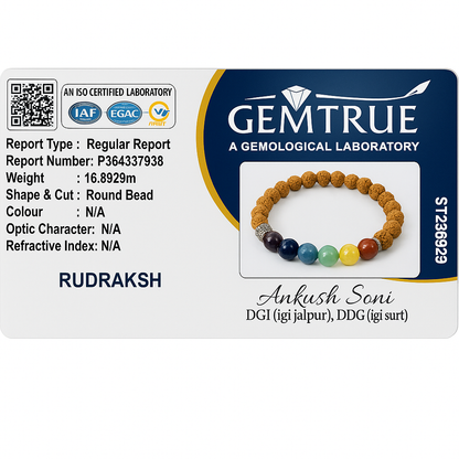 Rudraksha Bracelet With Multicolored Stones – Luck Bracelet