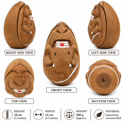 Hand Carved Coconut Ganesh Idol | Natural Dry Coconut Shell Sculpture | Spiritual Home Temple Decor | Vastu & Pooja Gift | 18 cm