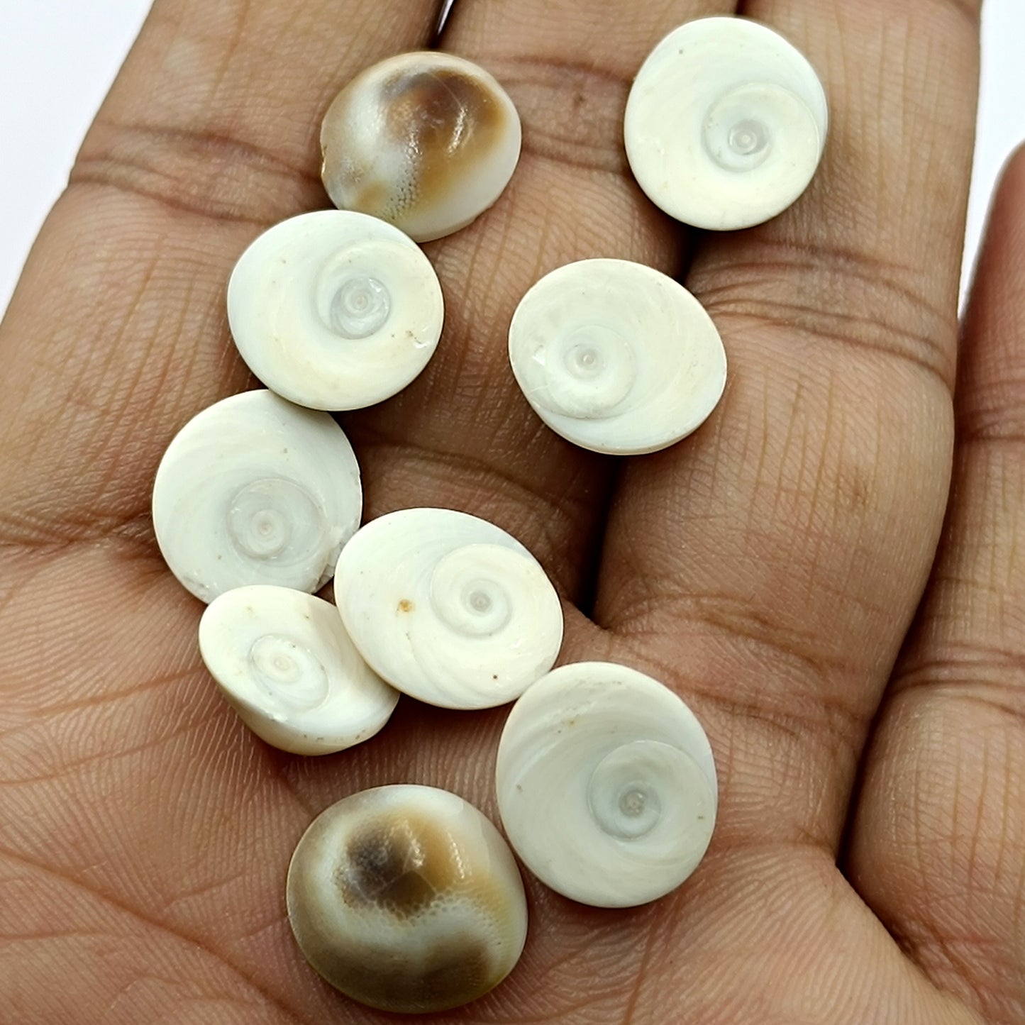 Gomti Chakra - Abhimantrit 9 Piece Set