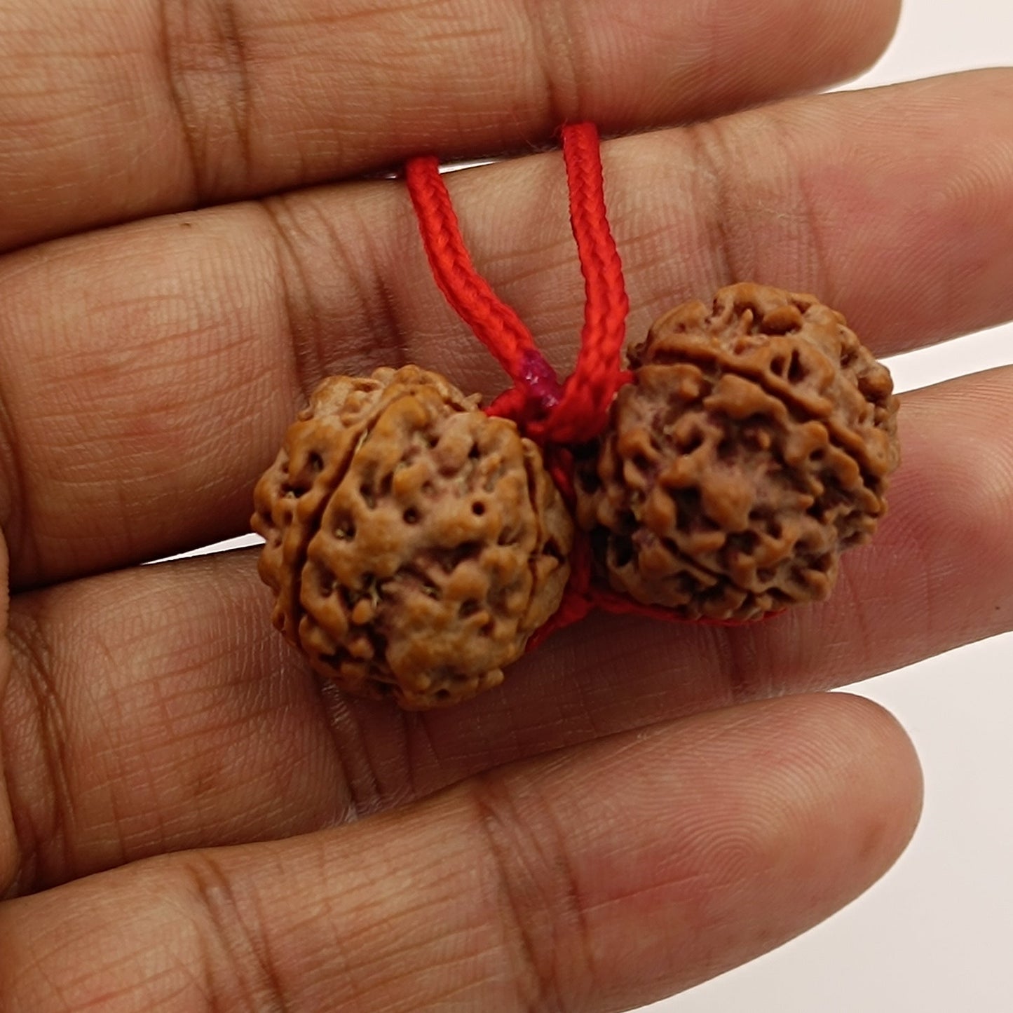 Maha Laxmi Kavach – Shield of Prosperity & Wealth
