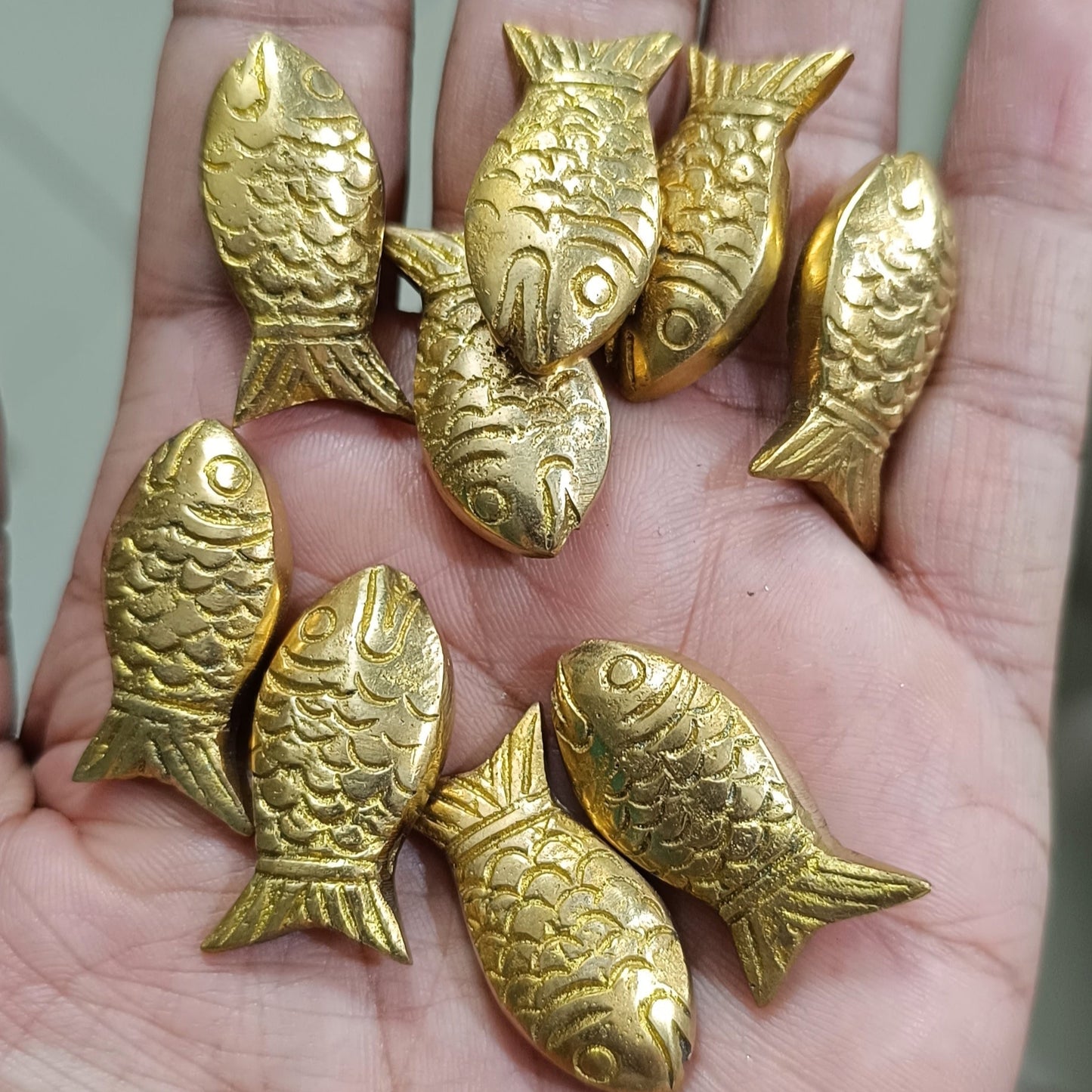 Pital Machli - 12 Piece Set For Jalpravah