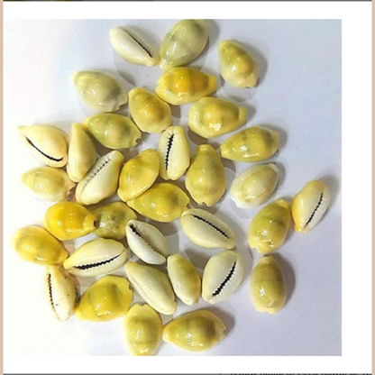 Yellow Koudi - Peeli Kouri - Energized 100 Pieces