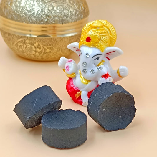 Koyla Guggal Kapur Dhuni For Home Purification - 30 Piece Set