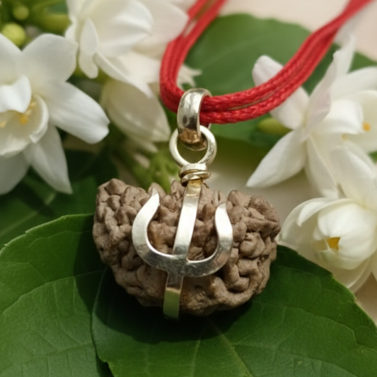 1 Mukhi Rudraksha For Sun Planet
