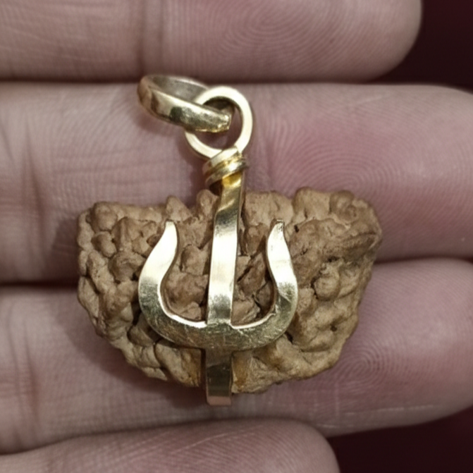 1 Mukhi Rudraksha For Sun Planet