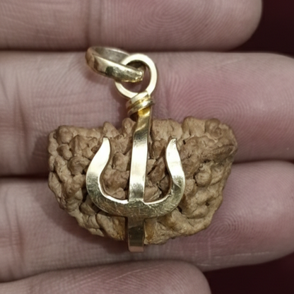 1 Mukhi Rudraksha For Sun Planet