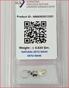 Ketu Mani Locket – Panchdhatu Locket