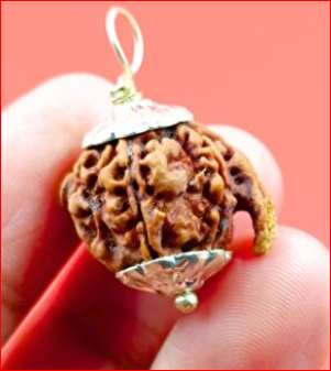 Close-up of a rudraksha pendant 