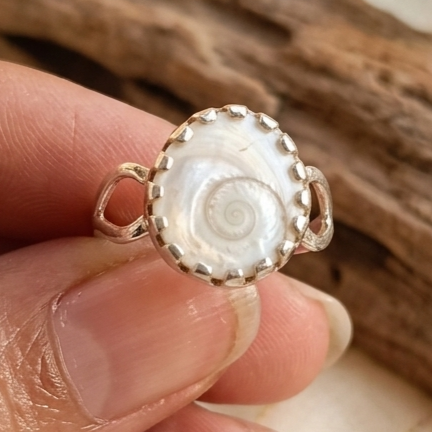 Gomti Chakra For Wealth Prosperity & Protection - Silver Ring or Locket