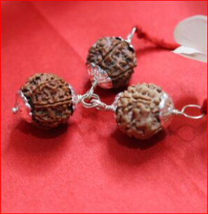 Shani Kawach – Combination of Rudraksha For Shani Blessings
