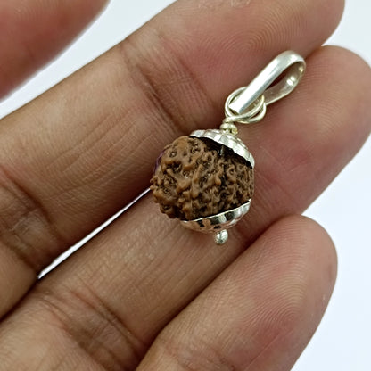 12 Mukhi Indonesia Rudraksha - Silver Plating Metal Locket With Lab Certificate