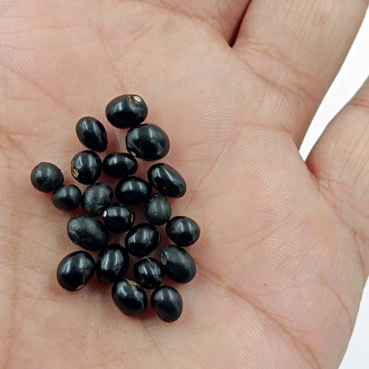 Black Gunja - Kali Gunja - Energized 21 Piece Set