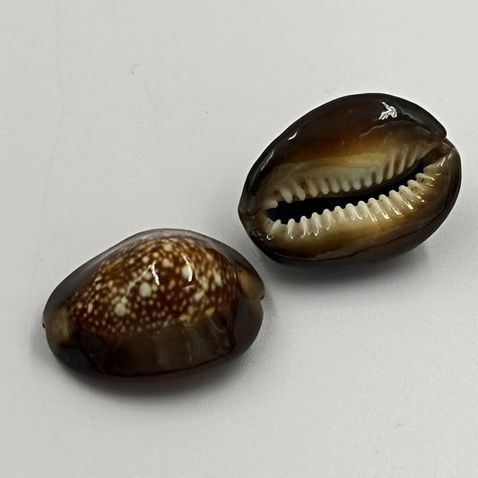 Kaali Koudi - Black Koudi - Abhimantrit 2 Piece Set