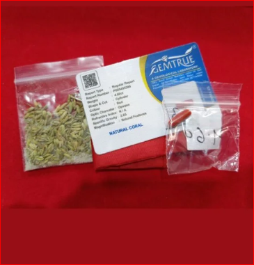 Two small plastic bags with coral and a Gemtrue card on a red background