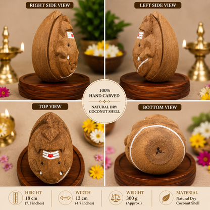 Hand Carved Coconut Ganesh Idol | Natural Dry Coconut Shell Sculpture | Spiritual Home Temple Decor | Vastu & Pooja Gift | 18 cm