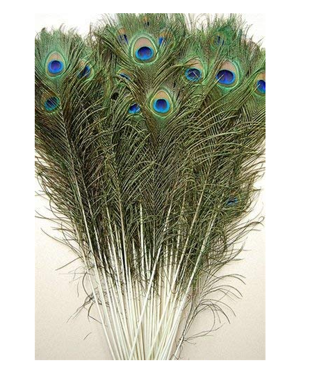Original Peacock Feather, Mor Pankh Tails Full Size