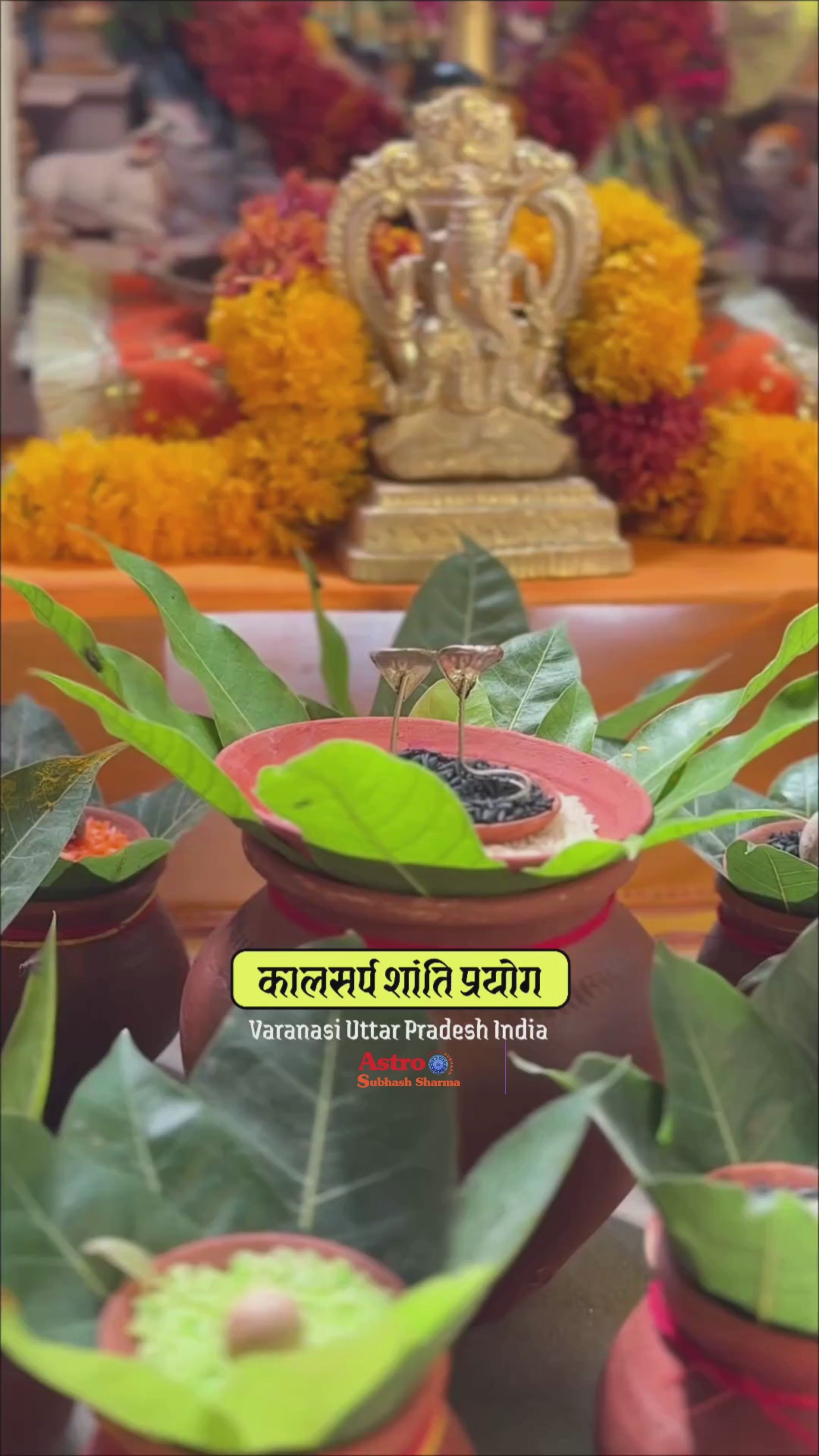 Kaal Sarp Dosh Niwaran Puja