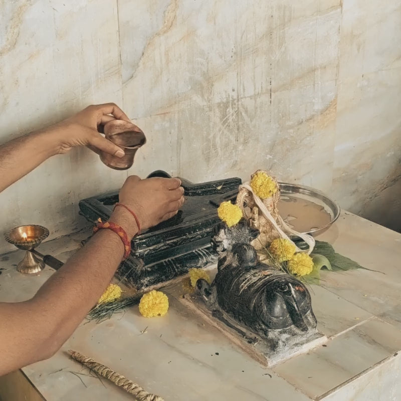 Rudrabhishek in Kashi