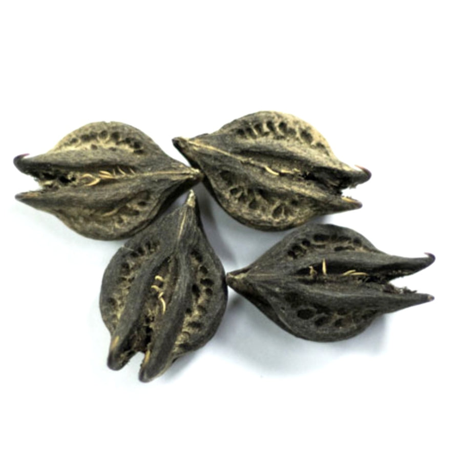 Bichu Buti For Shani Upay - Energized 11 Pieces