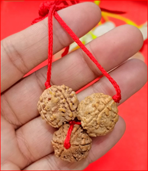 saraswati kawach rudhraksha