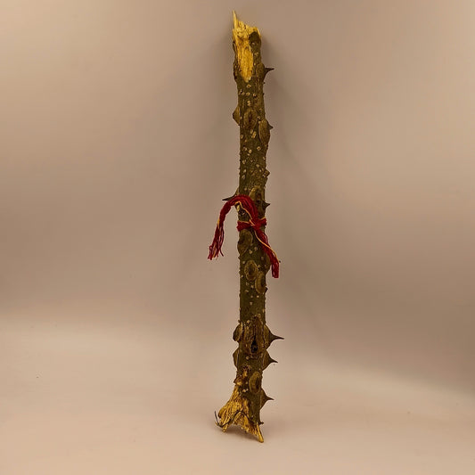 Timru Stick For Evil Eye Protection - 1 Piece Abhimantrit - Uttrakhand Sacred Stick